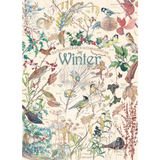Country Diary: Winter