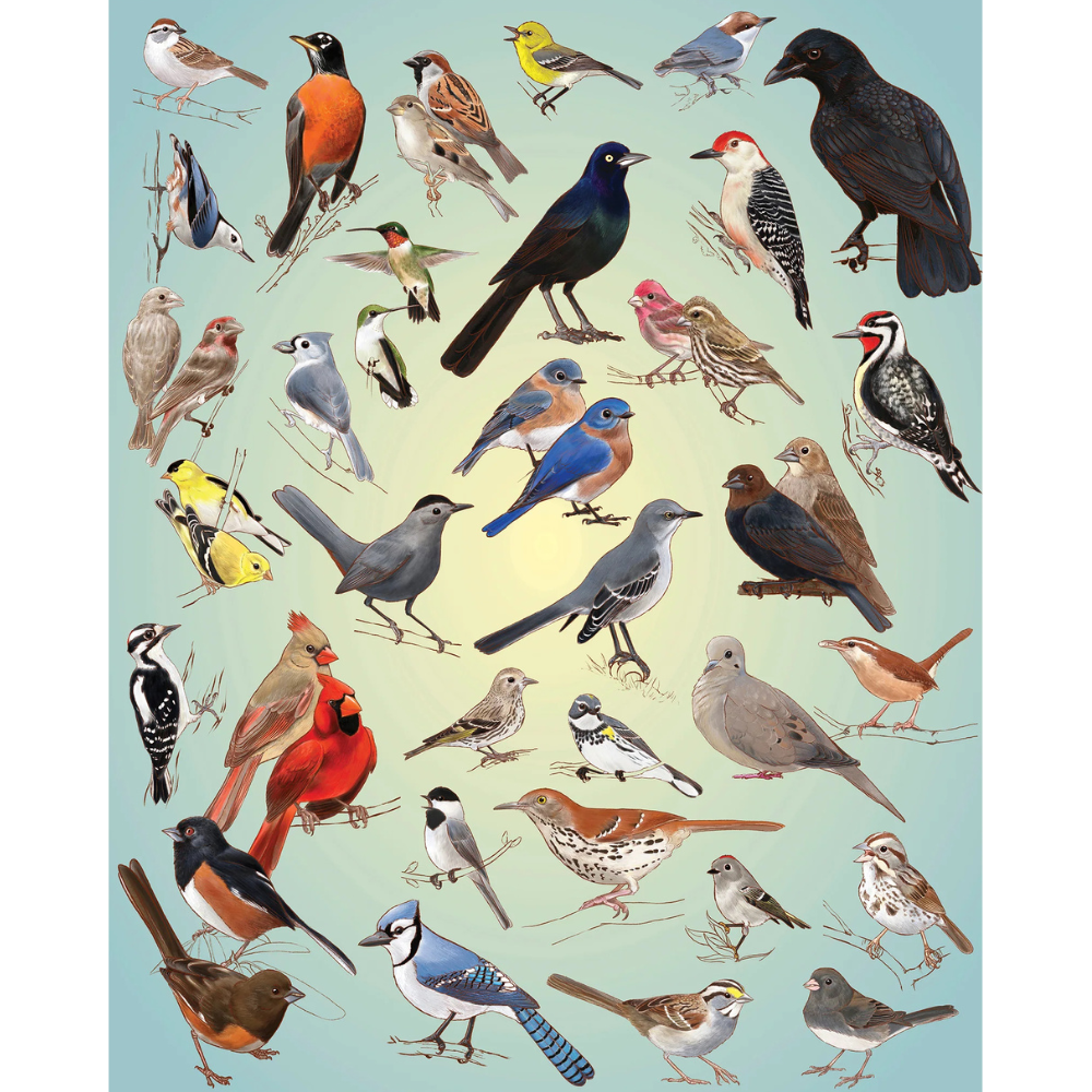 Casey Girard: Backyard Birds