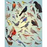 Casey Girard: Backyard Birds
