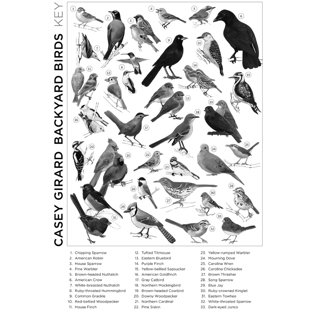 Casey Girard: Backyard Birds