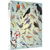 Casey Girard: Backyard Birds
