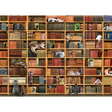 Cat Library - Thirsty Meeples