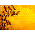Ravensburger Challenge Bees adult puzzle featuring a colorful honeybee design and intricate puzzle pieces.