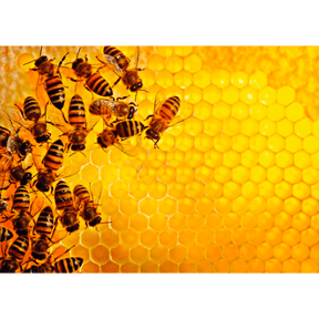 Ravensburger Challenge Bees adult puzzle featuring a colorful honeybee design and intricate puzzle pieces.