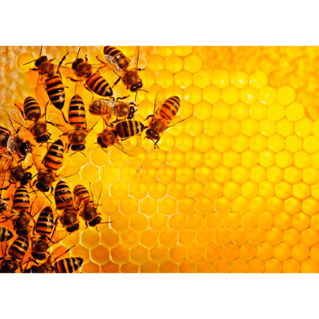 Ravensburger Challenge Bees adult puzzle featuring a colorful honeybee design and intricate puzzle pieces.