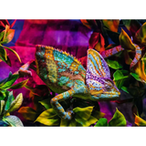 Chameleon