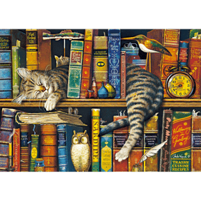 Charles Wysocki: Frederick the Literate - Thirsty Meeples