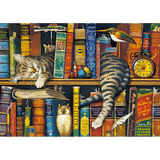 Charles Wysocki: Frederick the Literate