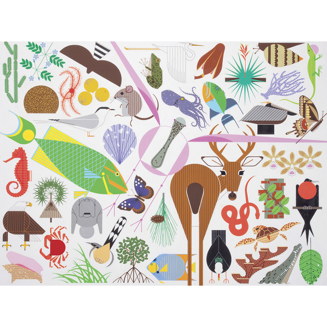 Charley Harper: Wildlife Wonders - Thirsty Meeples