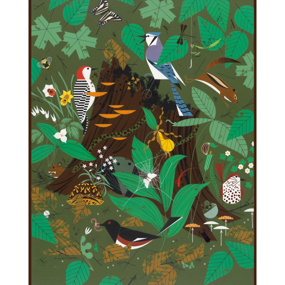 Charley Harper: Woodland Wonders - Thirsty Meeples