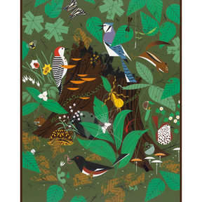 Charley Harper: Woodland Wonders - Thirsty Meeples