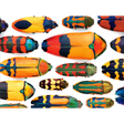 Christopher Marley: Beautiful Beetles - Thirsty Meeples