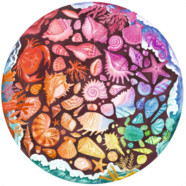 Circle of Colours: Seashells - Thirsty Meeples