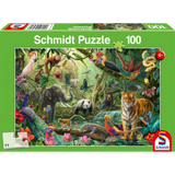 Colourful Jungle Wildlife