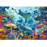 Coral Reef Retreat
