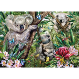 Cute Koala Family