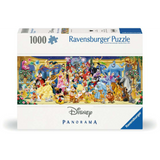 Disney Panoramic