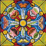 David Cohen: Butterfly Rose Window