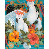 David Galchutt: Tropical Trio