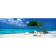 Divi Divi Tree (1000 Pieces) - Thirsty Meeples