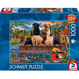 Dog Family by the Lake