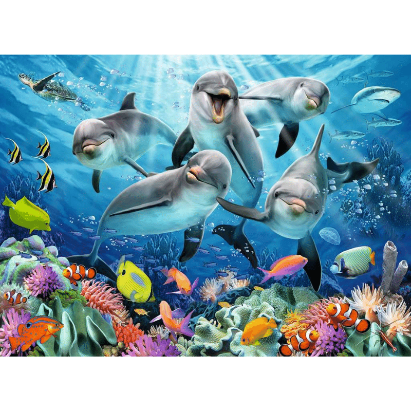 Dolphins