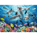 Dolphins
