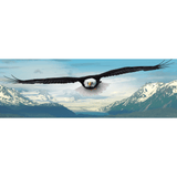 Eagle (1000 Pieces)