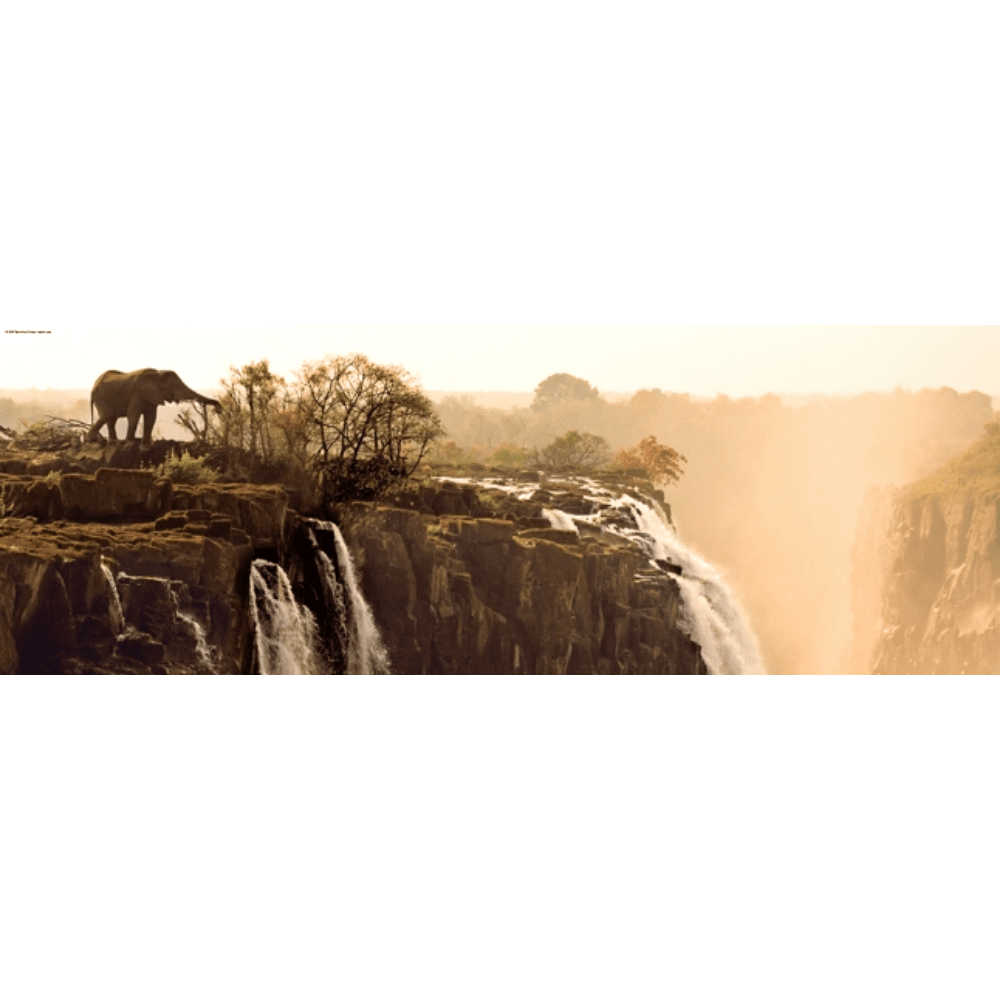 Elephant (1000 Pieces)