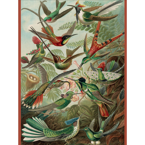 Ernst Haeckel: Hummingbirds - Thirsty Meeples