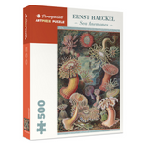Ernst Haeckel: Sea Anemones - Thirsty Meeples