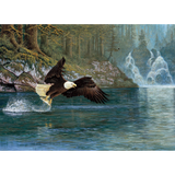 Fly Fishing