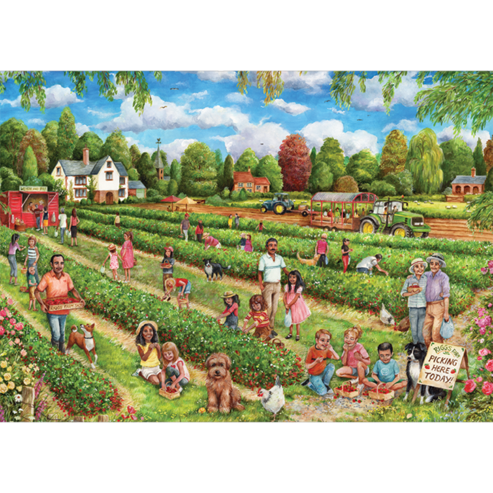 Strawberry Picking
