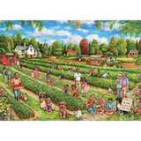 Strawberry Picking