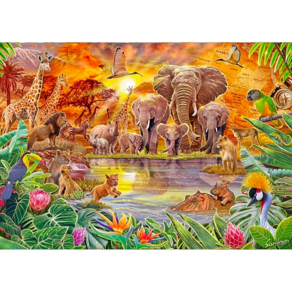 Steve Sundram: African Kingdom