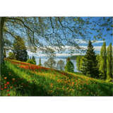 Spring Avenue, Mainau