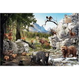 The Animals of the Forest