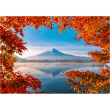 Fuji in Autumn
