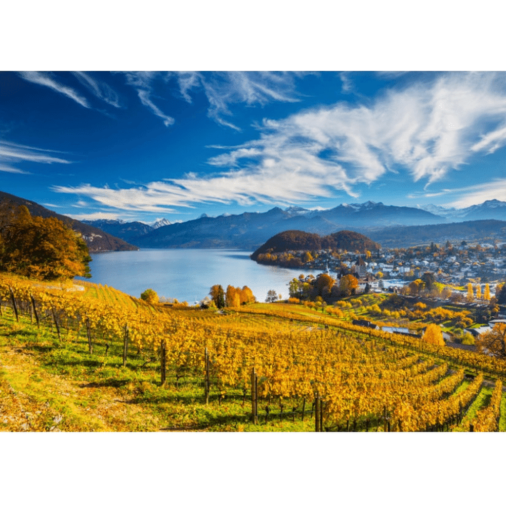 Vineyards
