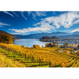 Vineyards