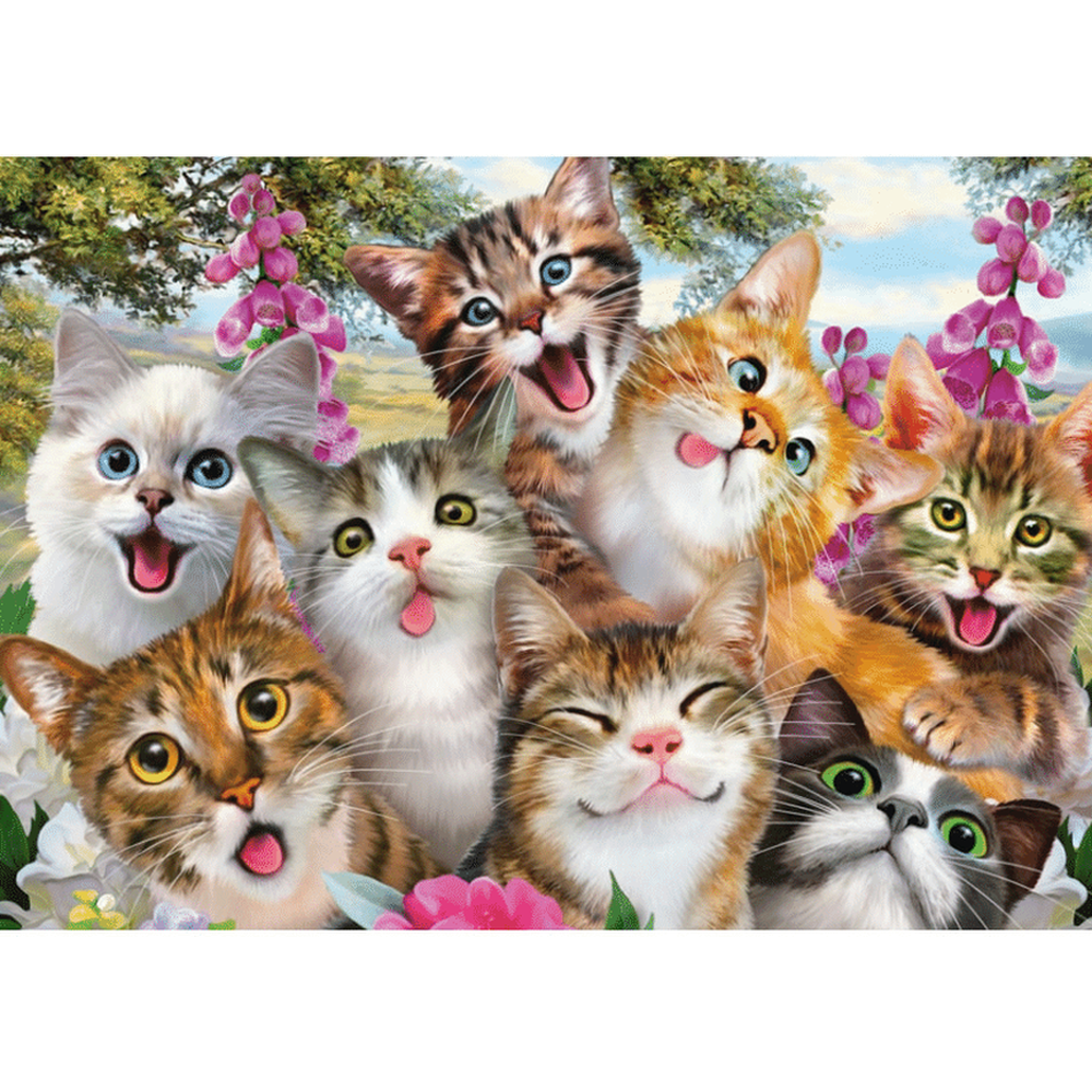 Cat Selfie