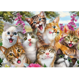 Cat Selfie