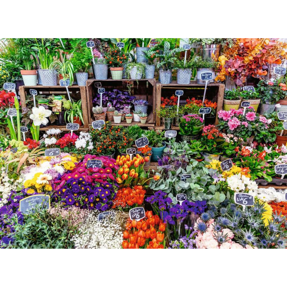 Flower Market, France