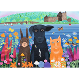 Fun at Eileen Doan Castle