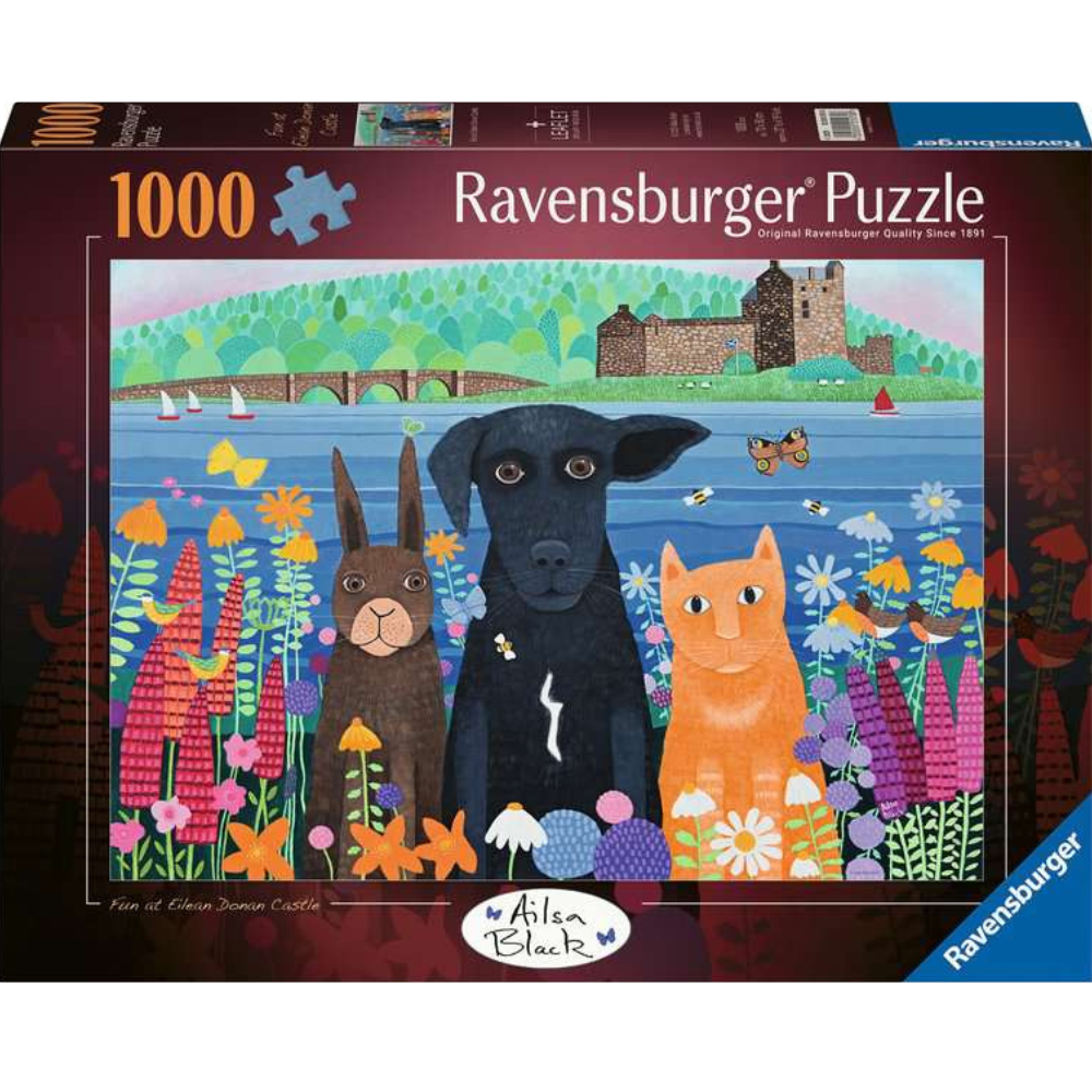 Fun at Eileen Doan Castle