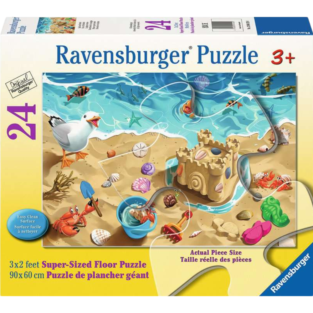 Fun at the Beach