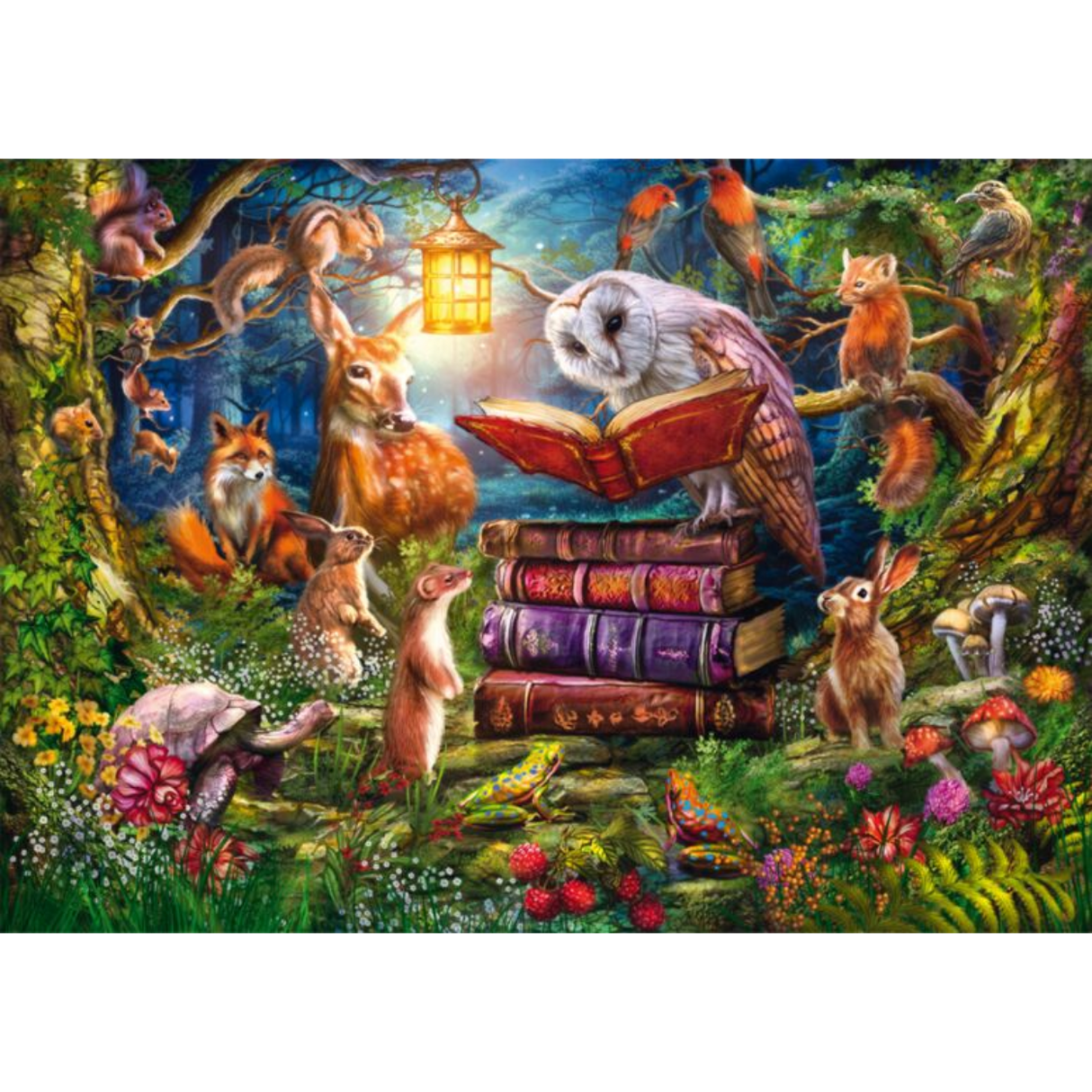 Forest Stories at Night