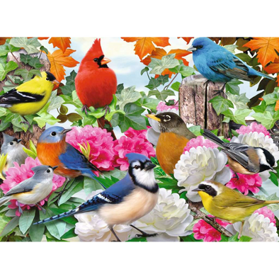 Garden Birds (500 Pieces)