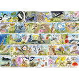 RSPB Birdsong & Bluebells