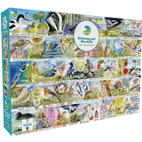 RSPB Birdsong & Bluebells